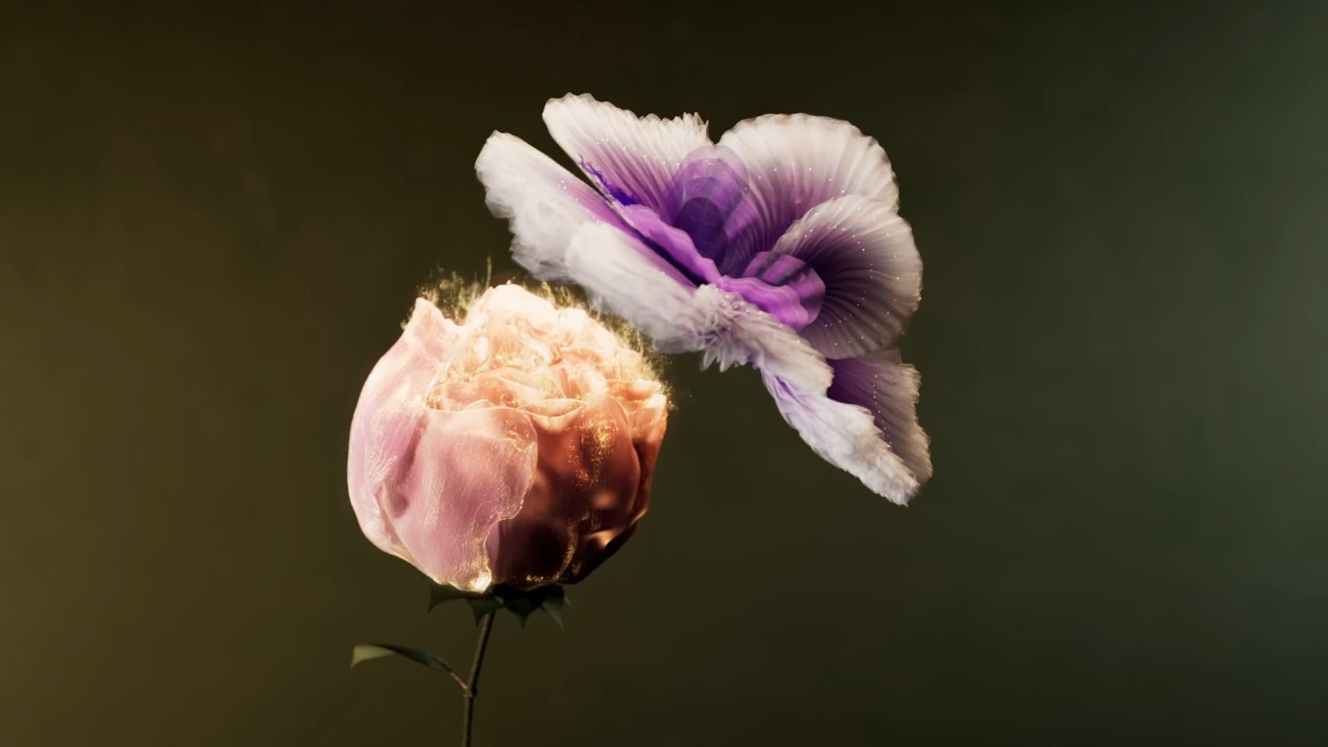 TheSleepingBeauty_WEB_COVER_16x9