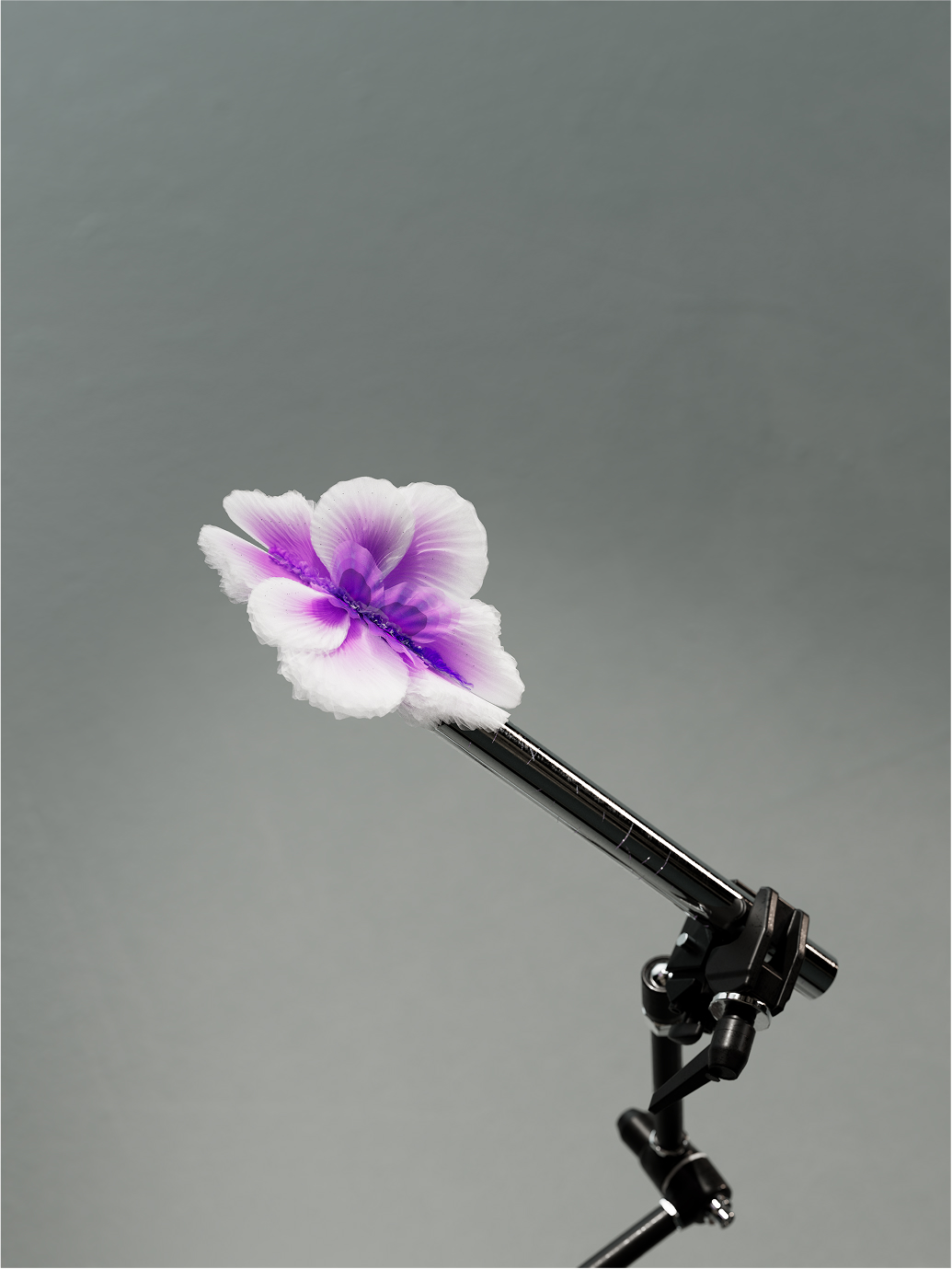 S210_NG-Social_Teaser_still_v01 1