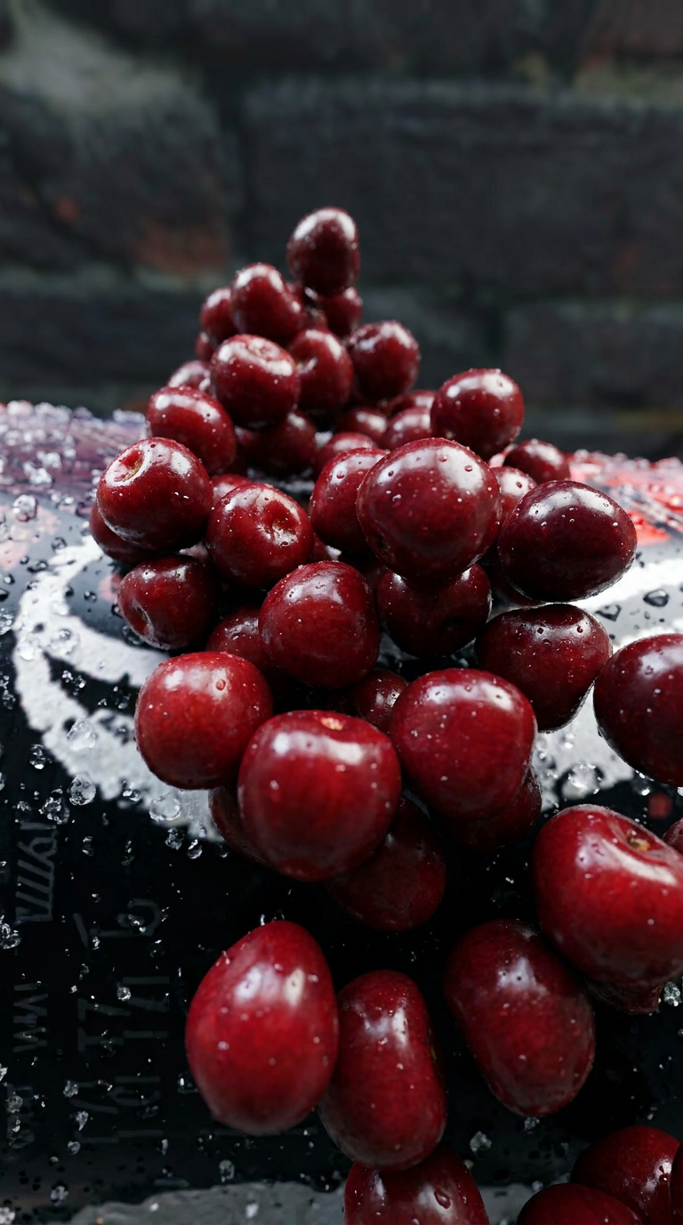 swinkels_stills (6)